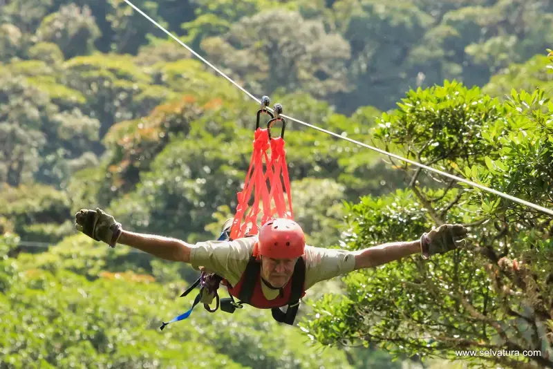 Bosque Nuboso Monteverde
