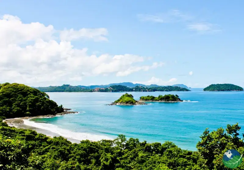 Tamarindo